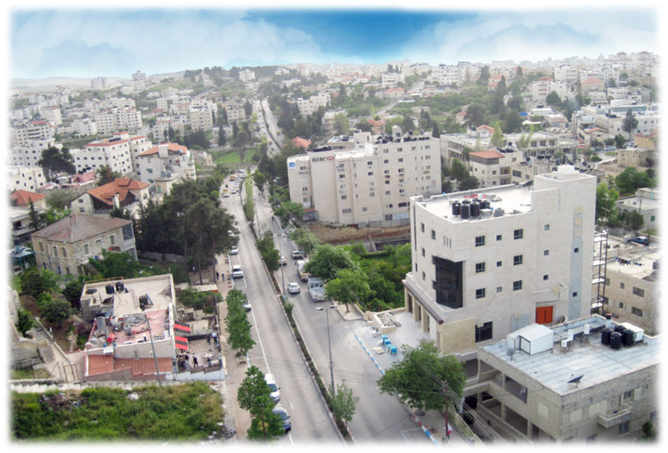 Albardauni Center View